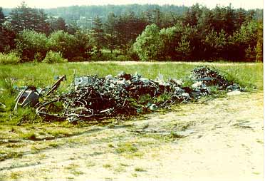 The Dump The Dump